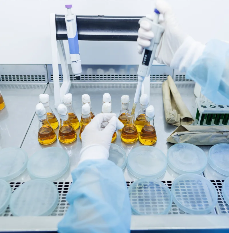 Microbiological-Studies