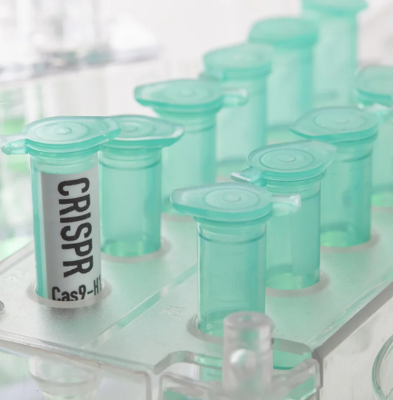 Biotechnology-Studies