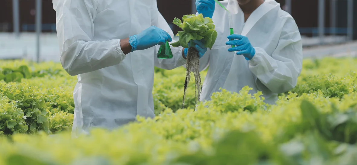  The Future of Food Starts Here: Where Science Meets Nature's Resilience