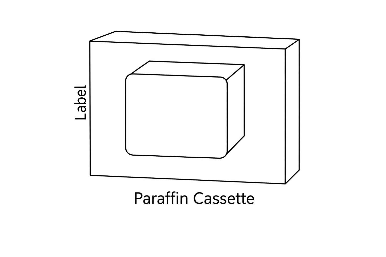 Paraffin Cassette